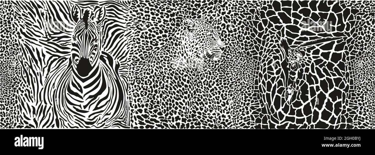 Arrière-plan avec léopard, girafe et zèbre Banque D'Images