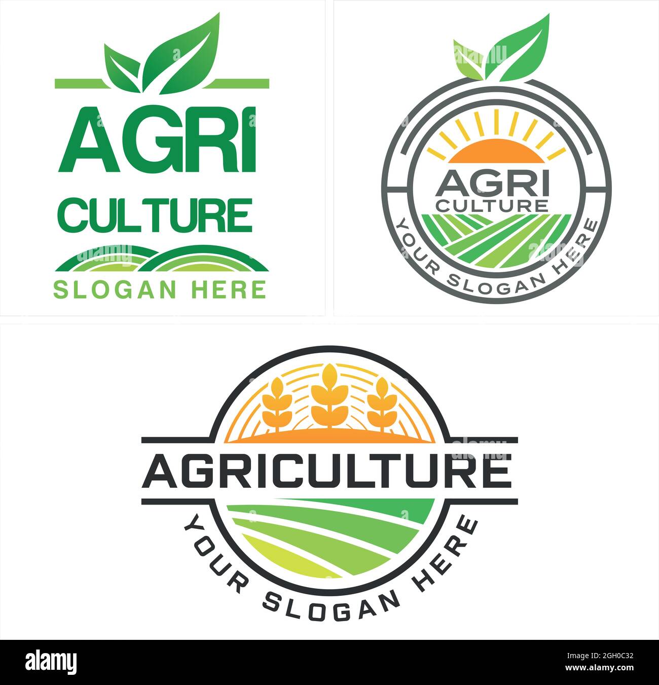 Agriculture plante nature blé biologique logo design Illustration de Vecteur