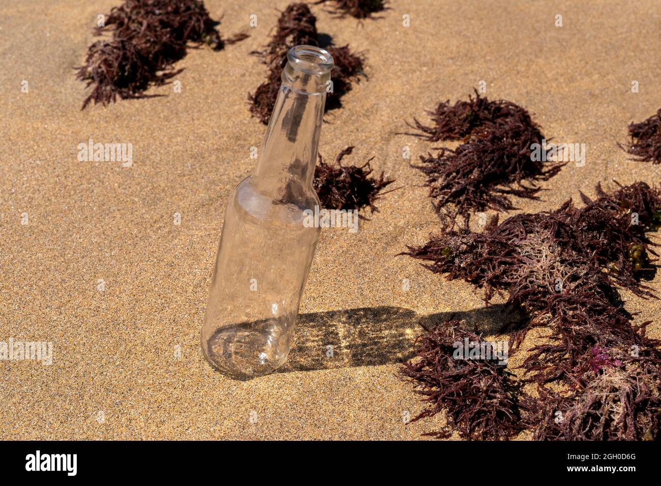 Bouteille sur la plage. Déchets dans l'océan, bouteille de verre vide. Concept d'écologie et de protection de l'environnement contre la pollution Banque D'Images
