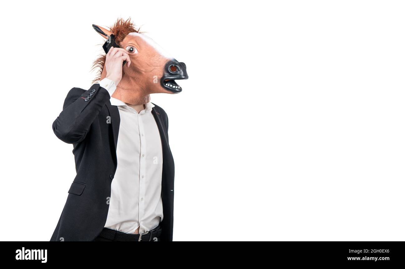 Homme d'affaires en tête de cheval et de costume d'affaires parler sur téléphone mobile isolé sur blanc, la communication Banque D'Images
