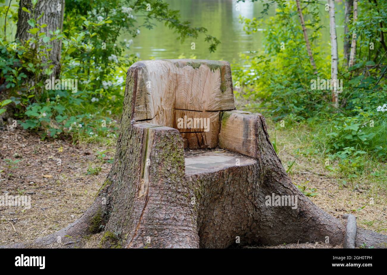Chaise faite d'un tronc d'arbre dans la forêt près du lac Photo Stock -  Alamy