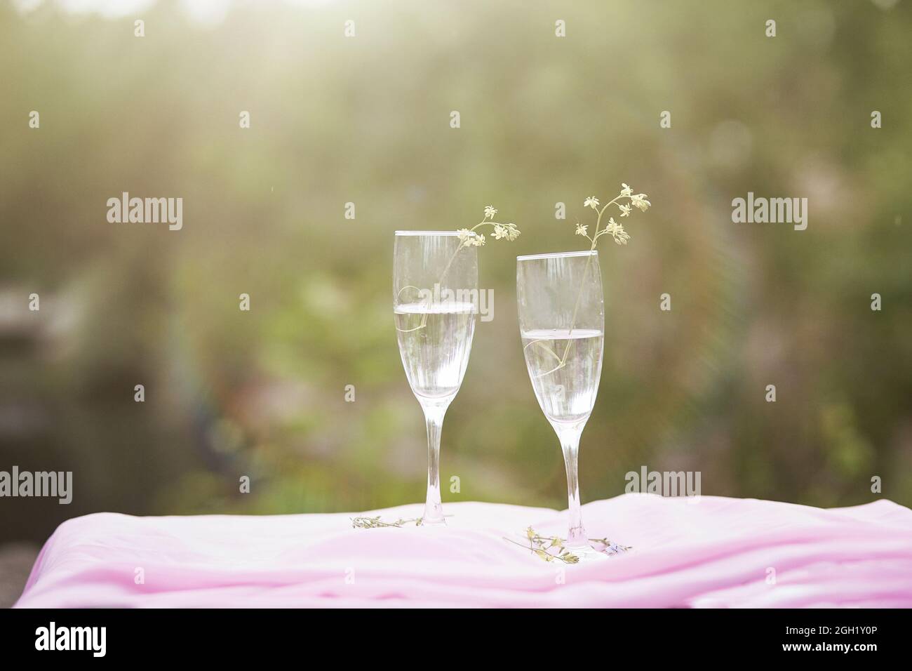 Champagne avec fleurs sauvages à l'extérieur. Pique-nique photo sur la nature avec lumière du soleil. Concept de célébration de la vie et de la solitude. Verres avec champagne. Qual. Élevée Banque D'Images