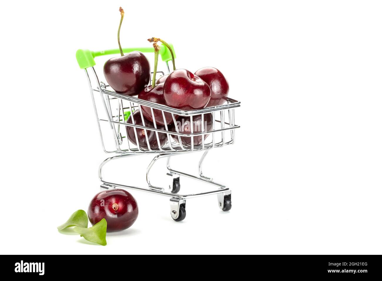 Un bouquet de cerises fraîches rouge foncé sur un panier à jouets. Isolé sur fond blanc. Banque D'Images
