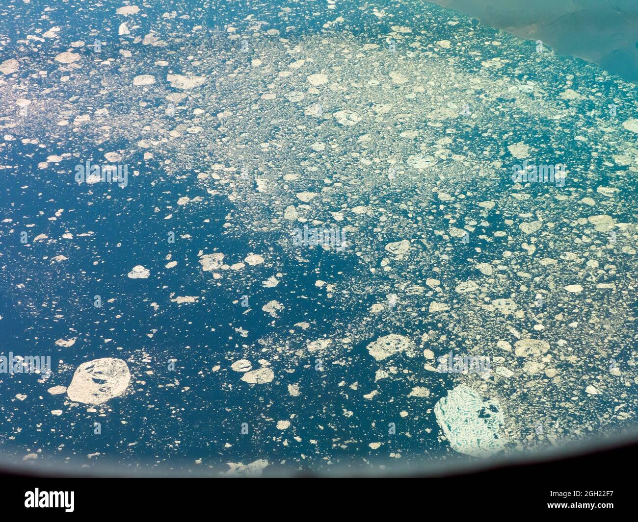 Les icebergs ont vêlé des glaciers du Groenland Banque D'Images