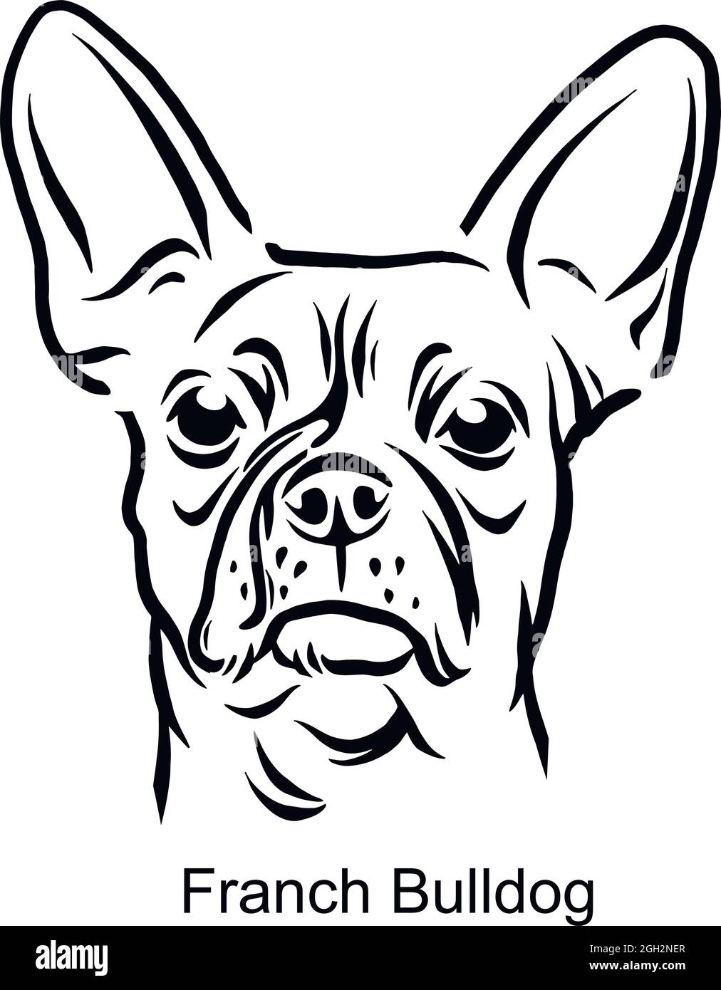 Portrait de chien en ligne de chien de Bulldog français - PET Portrait en tête de style léger isolé sur blanc - vecteur Illustration de Vecteur