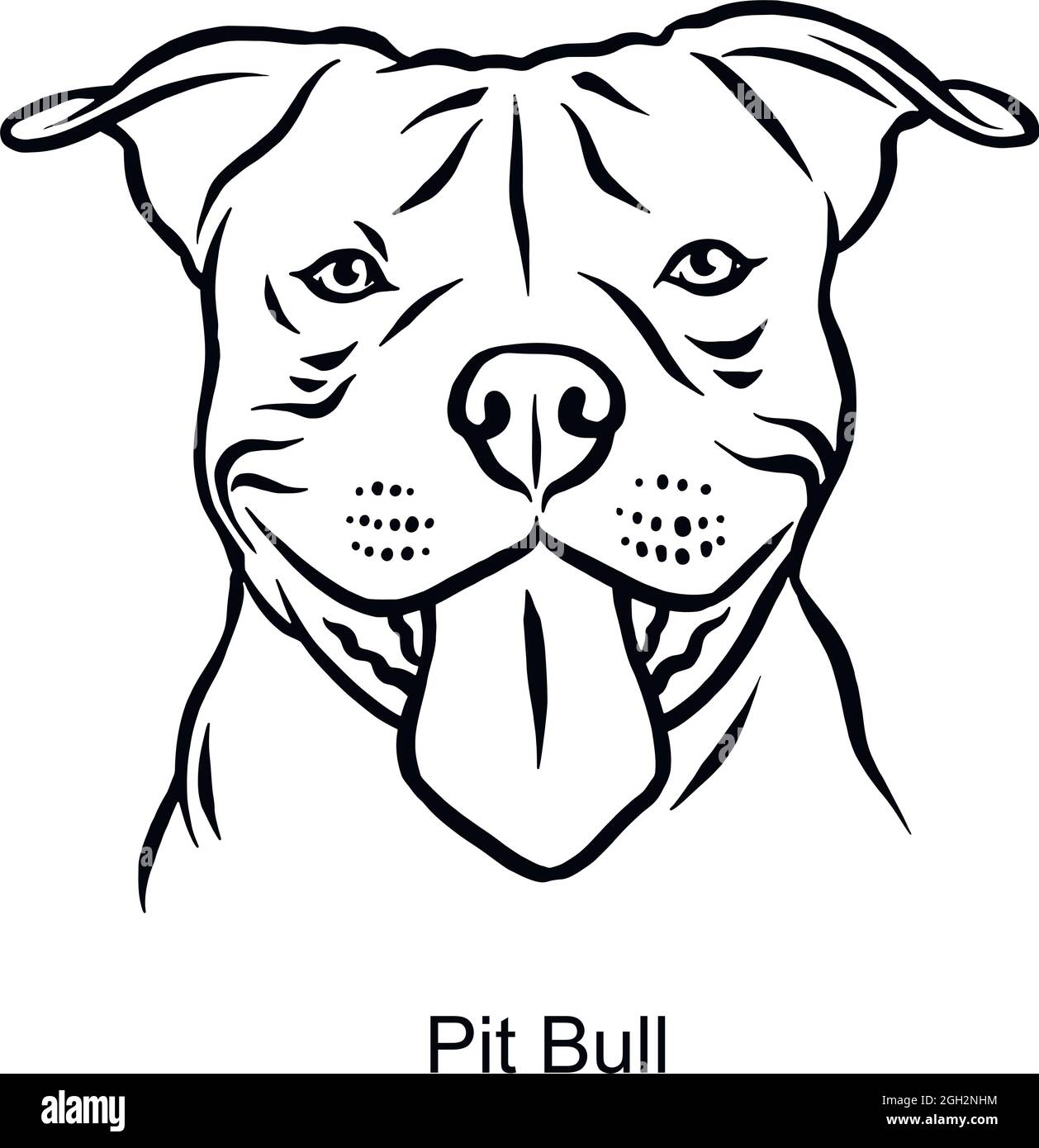 Portrait en ligne de chien en forme de taureau PIT - Portrait en lumière de PET tête isolée sur blanc - vecteur Illustration de Vecteur