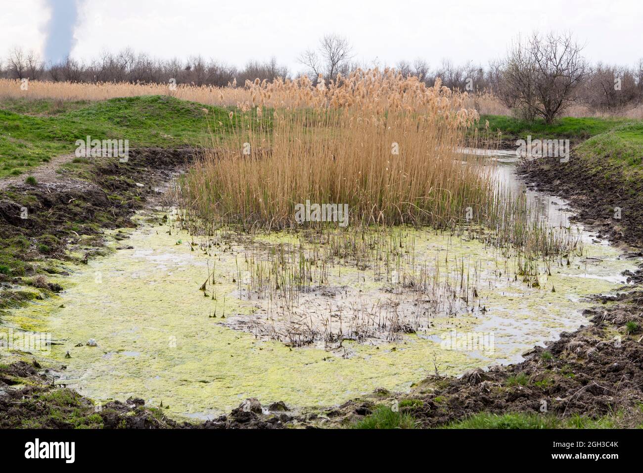 Eau sale. Catastrophe écologique, la rivière est polluée de déchets par des bouteilles en plastique avec pneus de roue, huile moteur. Banque D'Images