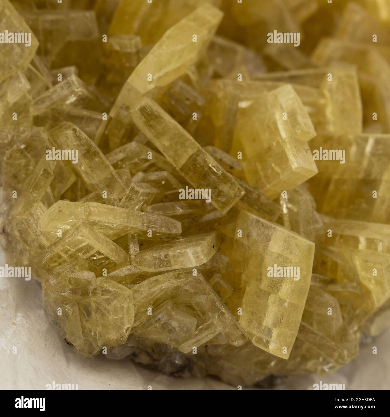 Vue rapprochée de l'échantillon de minerai de baryte jaune Banque D'Images