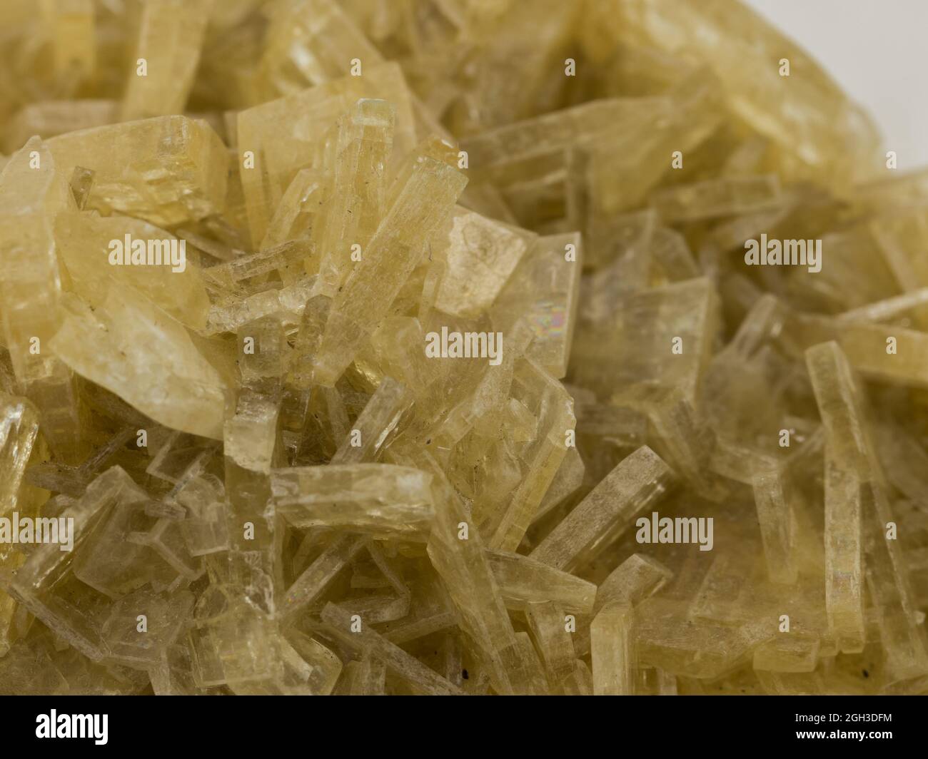 Vue rapprochée de l'échantillon de minerai de baryte jaune Banque D'Images