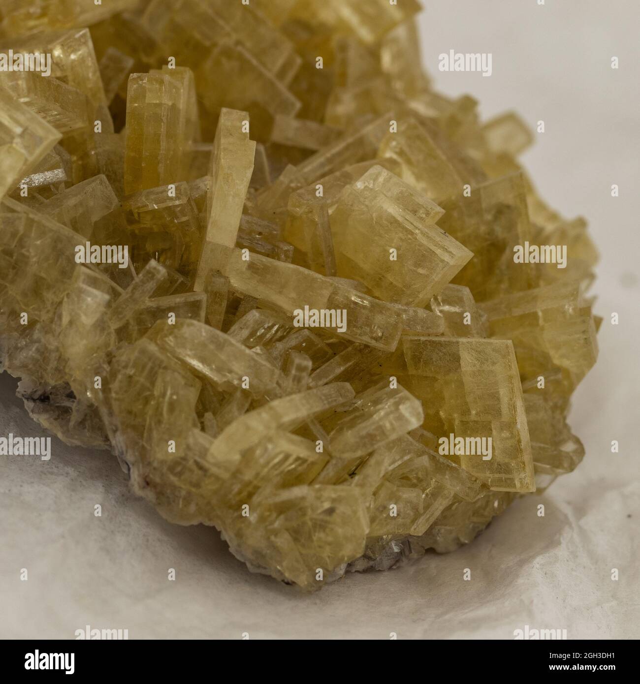 Vue rapprochée de l'échantillon de minerai de baryte jaune Banque D'Images