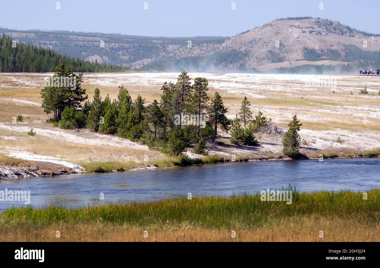 La vapeur des piscines thermales s'élève sur ce paysage spécial dans le parc national de Yellowstone, Wyoming, aux États-Unis Banque D'Images