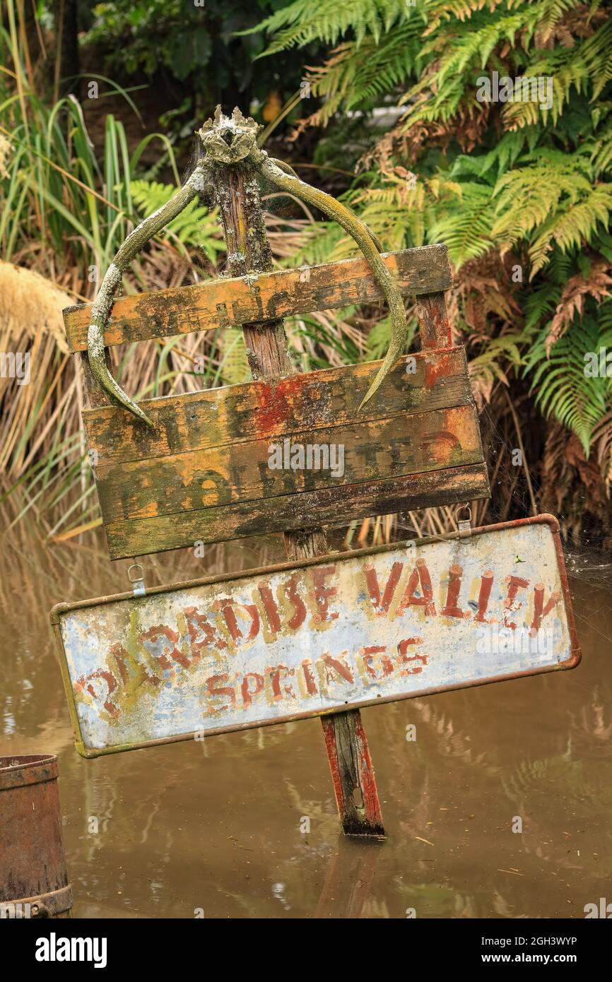 Un ancien panneau « Paradise Valley Springs » dans une zone marécageuse d'un parc animalier à Rotorua, Nouvelle-Zélande. Le panneau en bois ci-dessus indique « armes à feu interdites ». Banque D'Images