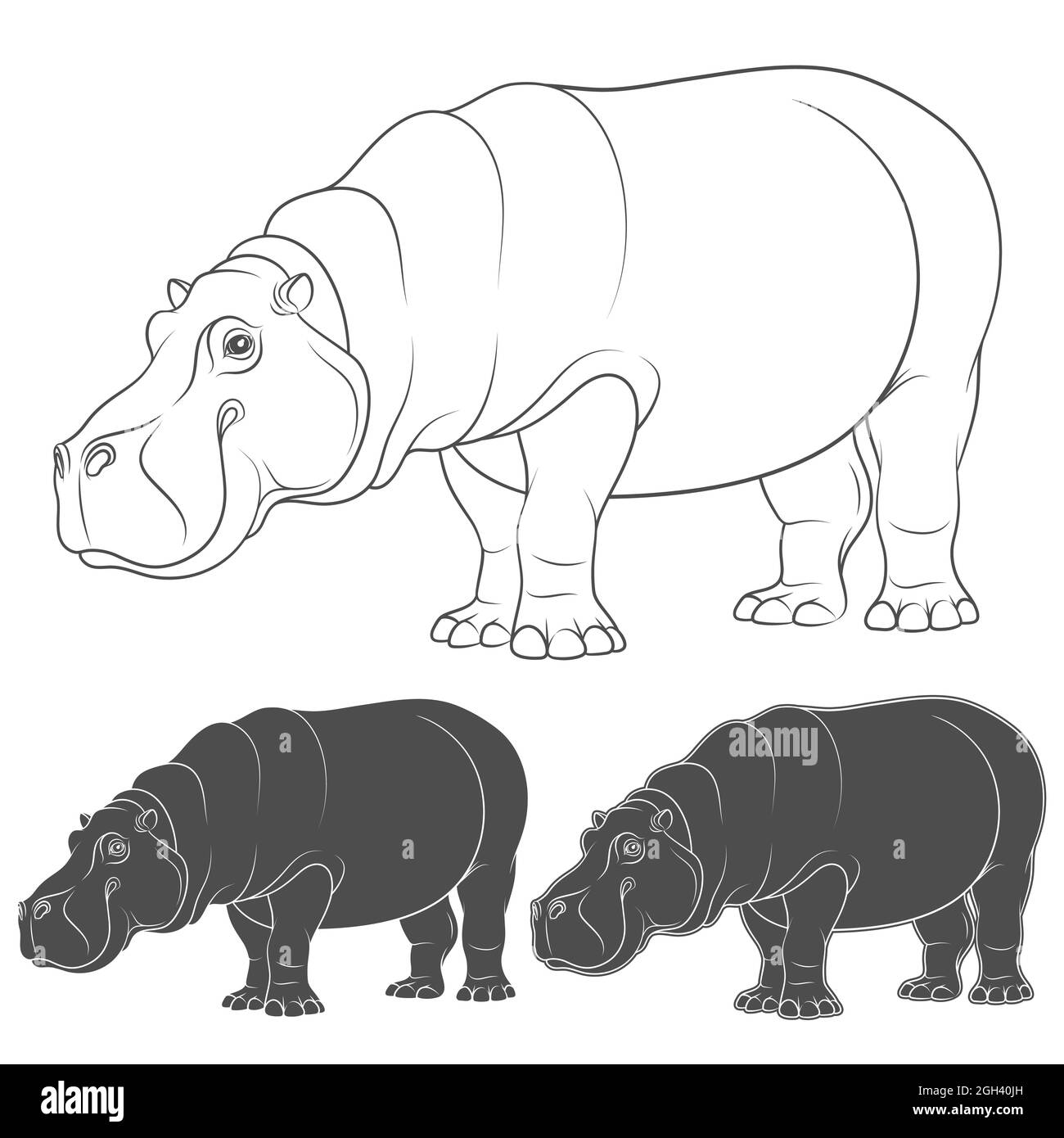 Jeu d'illustrations en noir et blanc avec un hippopotame. Objets vectoriels isolés sur fond blanc. Illustration de Vecteur