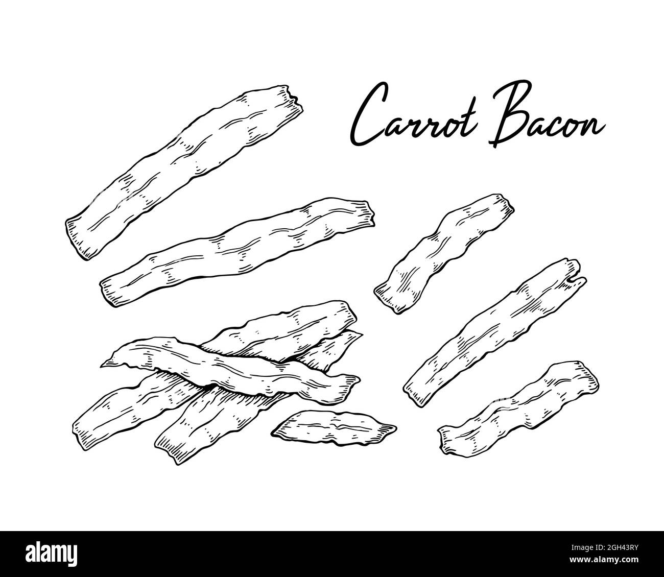 Bacon de carotte tiré à la main. Illustration vectorielle dans le style d'esquisse Illustration de Vecteur