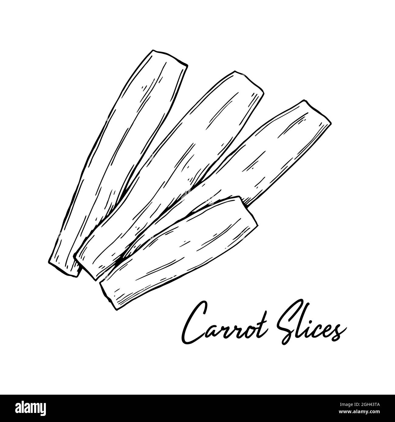 Tranches de carottes dessinées à la main. Illustration vectorielle dans le style d'esquisse Illustration de Vecteur