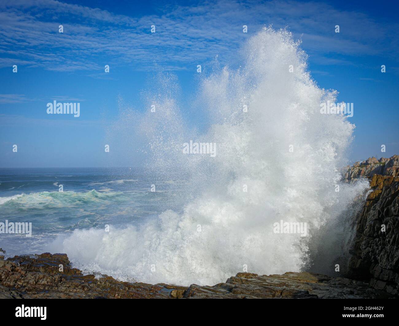 Numéro d'image GH5R396066. Jet d'une grande vague de l'océan s'écrasant sur des rochers à Hermanus. Côte des baleines. Overberg. WESTERN Cape. Afrique du Sud Banque D'Images