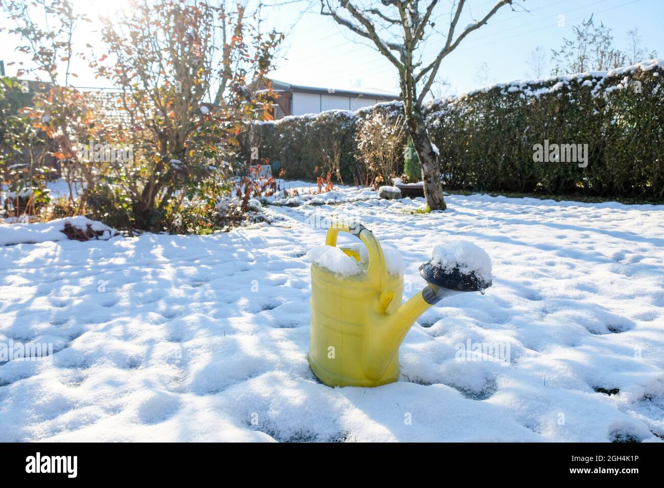 Un arrosoir jaune peut se mettre dans le jardin enneigé en hiver Banque D'Images