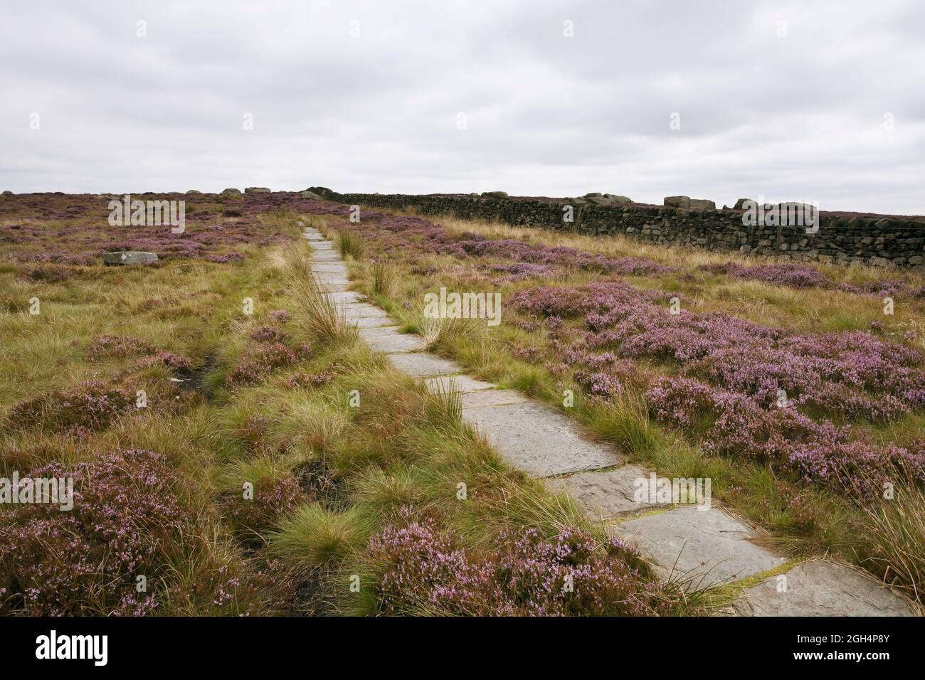 Le chemin menant au sommet d'Ilkley Moor, West Yorkshire, Royaume-Uni Banque D'Images