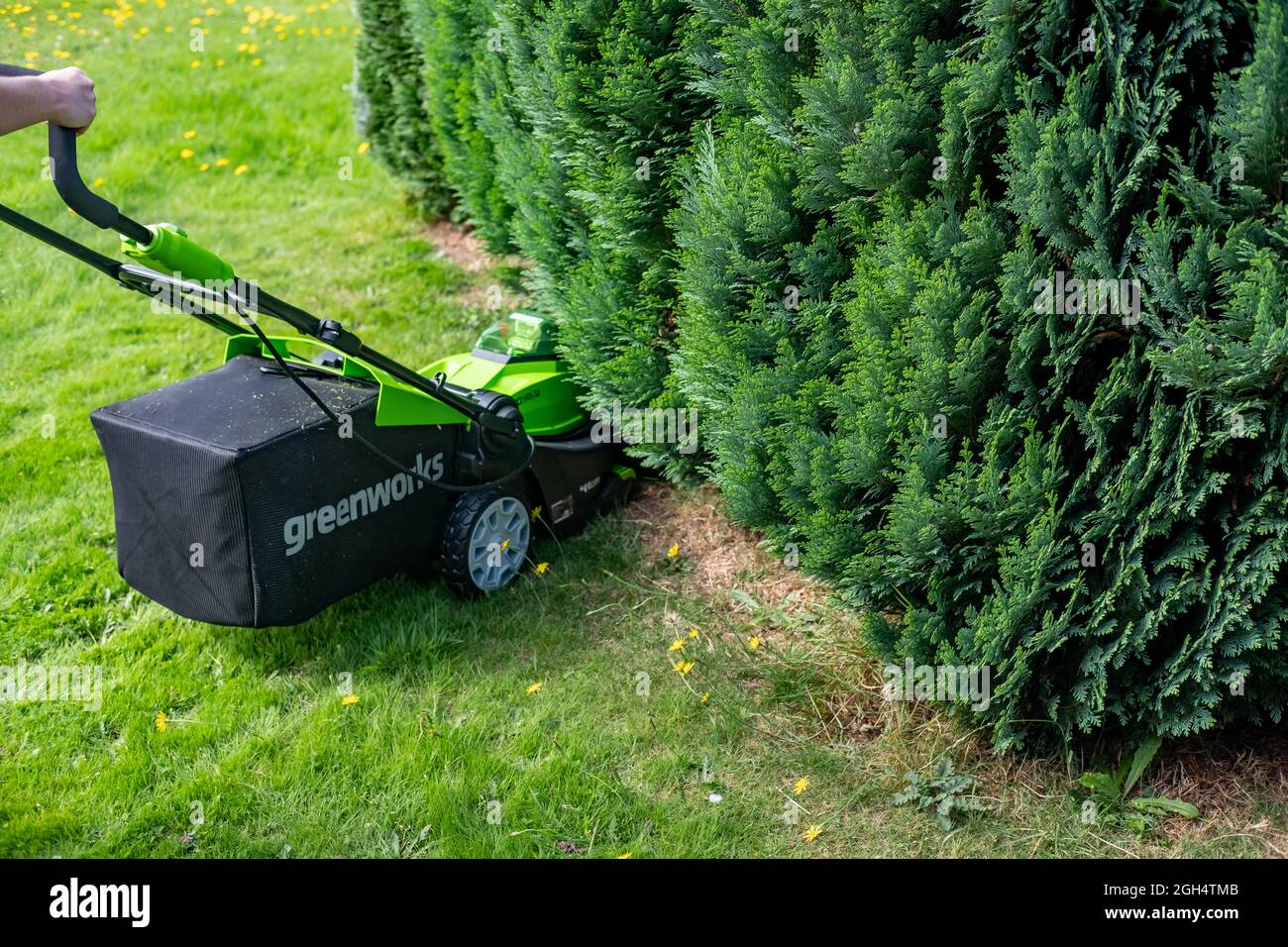 Norwich, Norfolk, Royaume-Uni – septembre 4 2021. Gros plan d'une tondeuse à batterie greenworks 40 v utilisée pour couper la longue herbe d'un jardin domestique. Banque D'Images