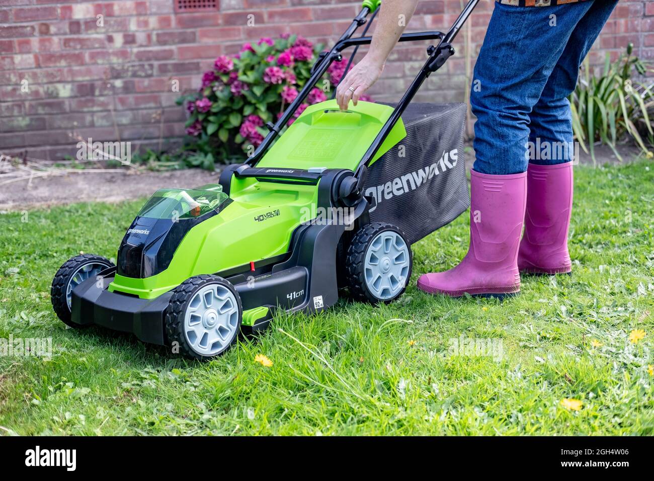 Une femme adulte non identifiable qui coupe l'herbe et tond une pelouse verte avec une tondeuse sans fil Greenworks 40v fonctionnant sur batterie. Banque D'Images