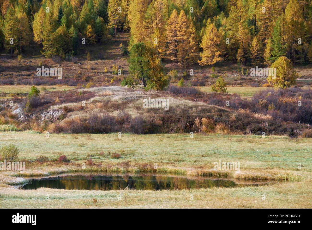 Vue sur le lac Altai Dzhanguskol et le plateau de montagne Eshtykel. Nord de la crête de Chui. Altaï, Sibérie, Russie. Banque D'Images