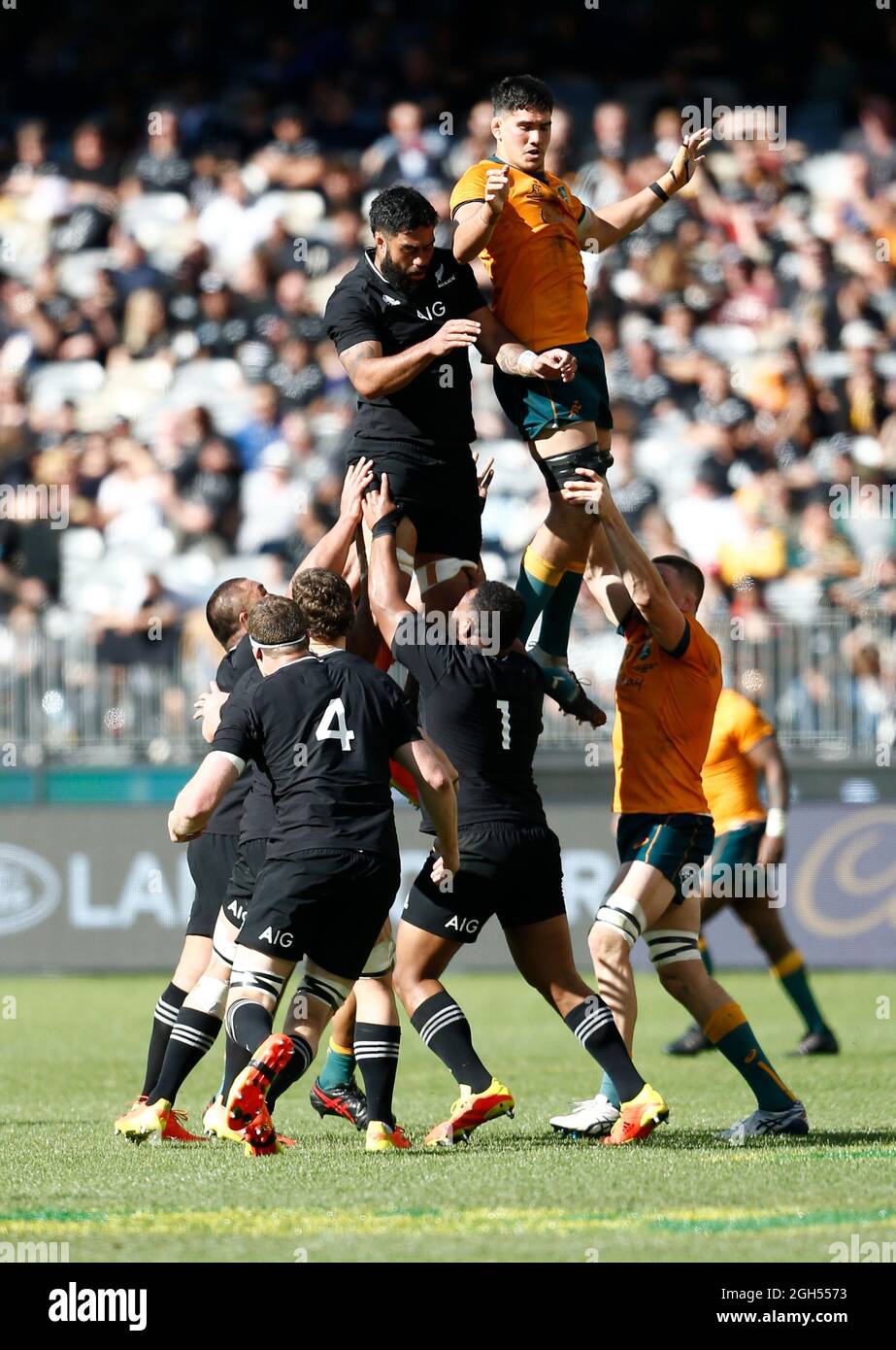 5 septembre 2021 ; Optus Stadium, Perth, Australie : coupe Bledisloe internationale de rugby, Australie contre Nouvelle-Zélande ; les All Blacks gagnent la file d'attente Banque D'Images