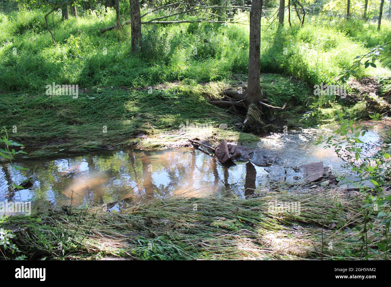 Un lit de ruisseau après une inondation éclair Banque D'Images
