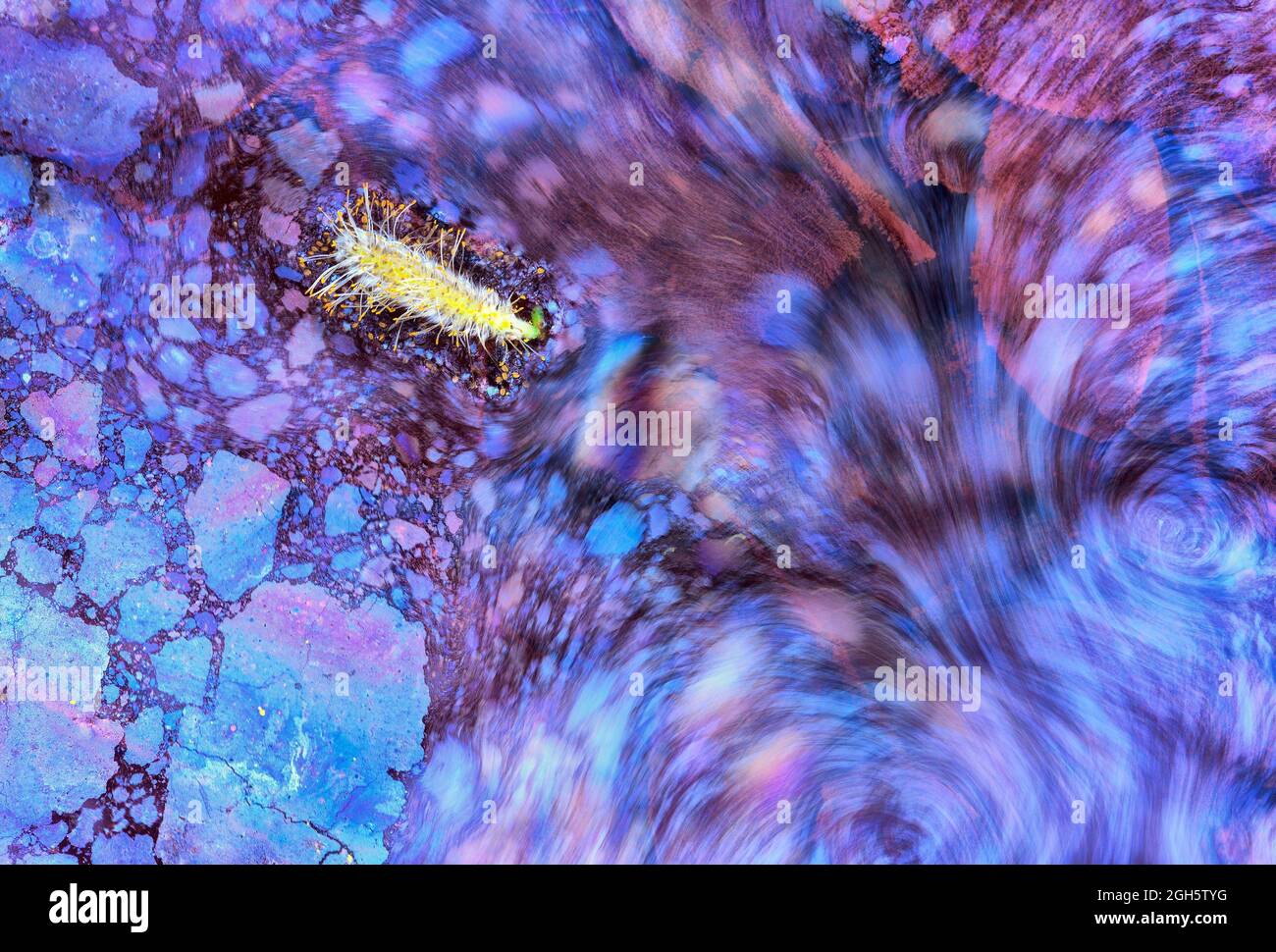Photographie abstraite d'une surface de biofilm mobile Banque D'Images