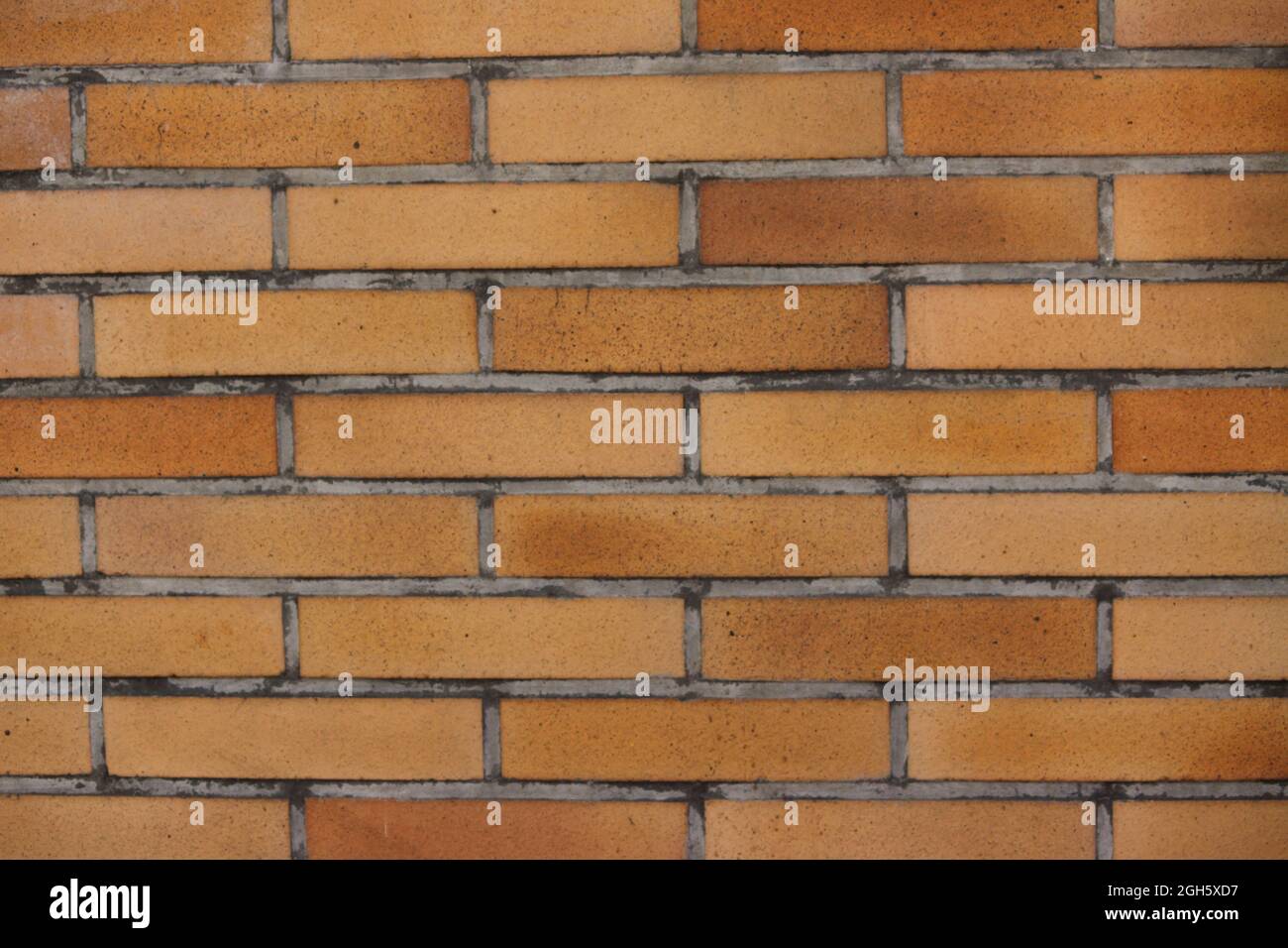 un mur de briques claires dans un jardin Banque D'Images