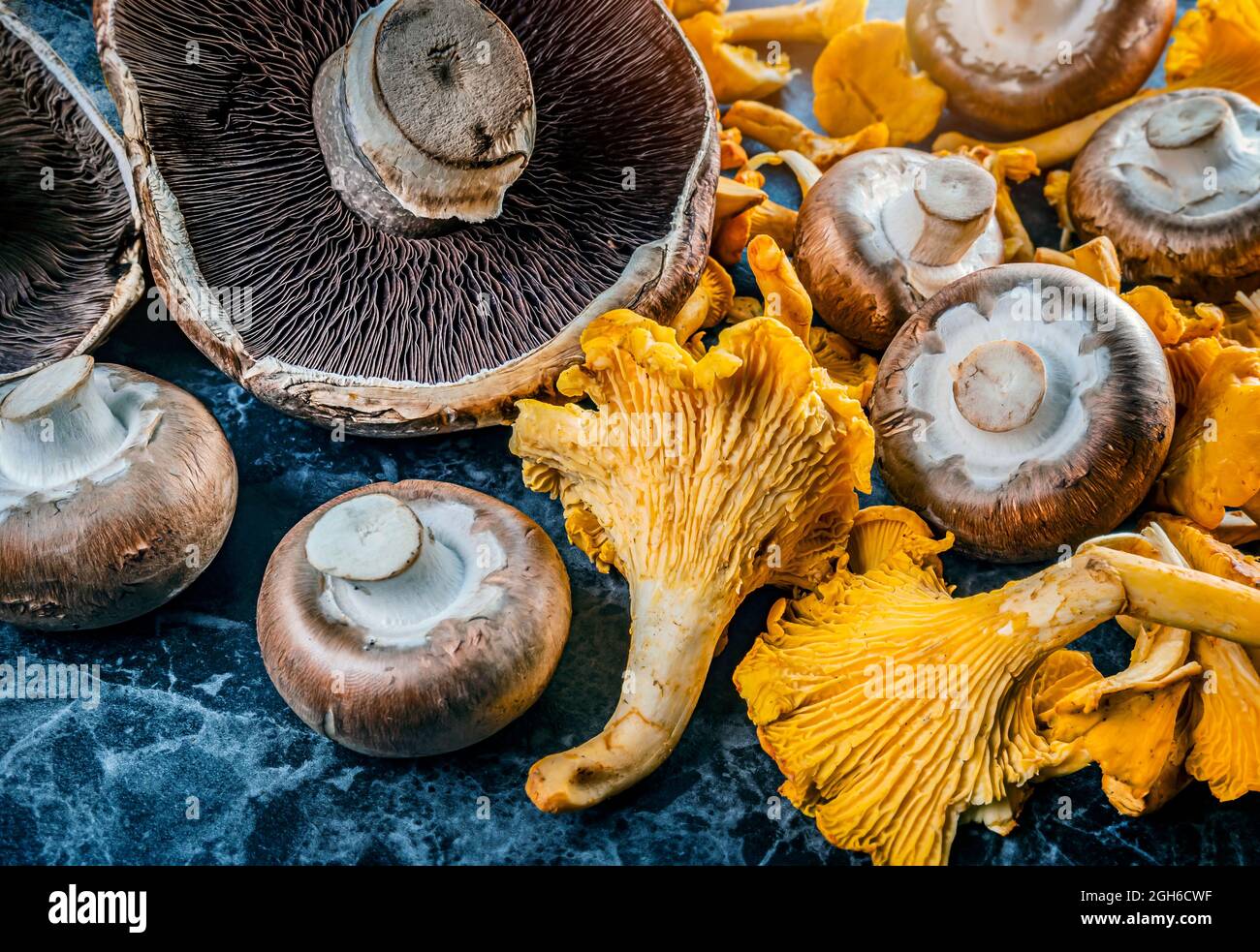 Champignons naturels et biologiques sur la table Banque D'Images