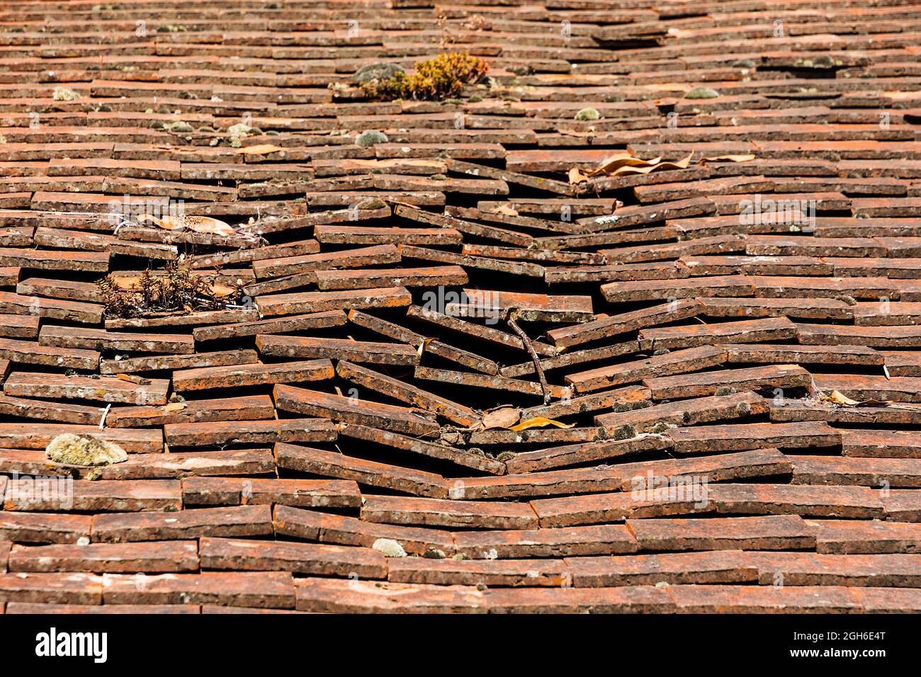 Carreaux d'argile cassés sur le vieux toit - France. Banque D'Images