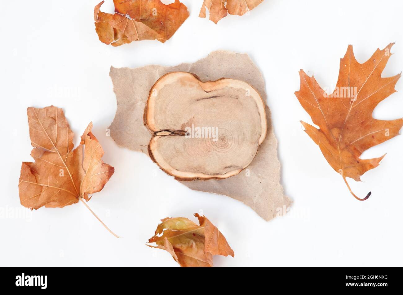 composition des feuilles d'automne sur fond blanc saison d'automne Banque D'Images