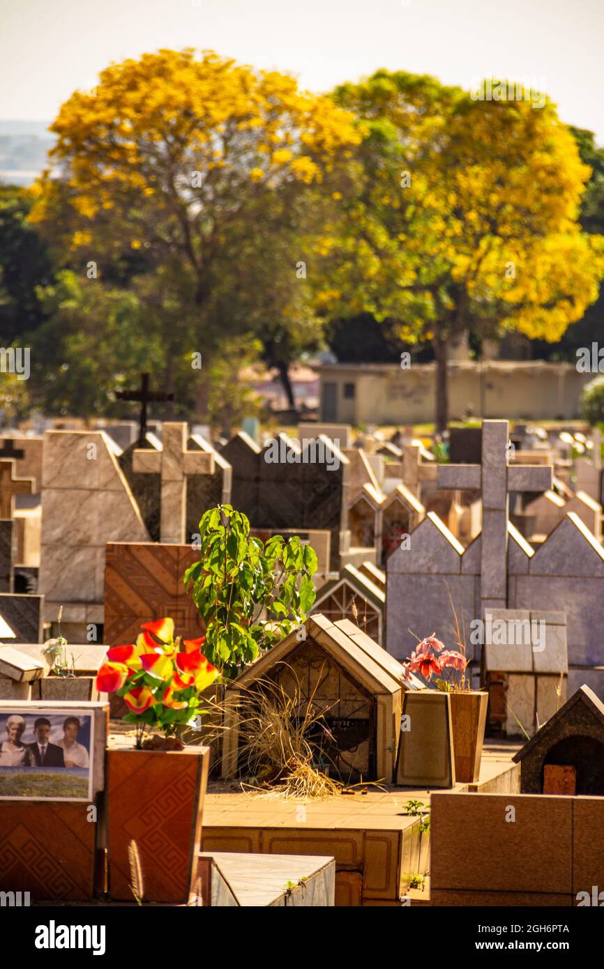 Détails des tombes dans un cimetière dans la ville de Goiânia. Banque D'Images