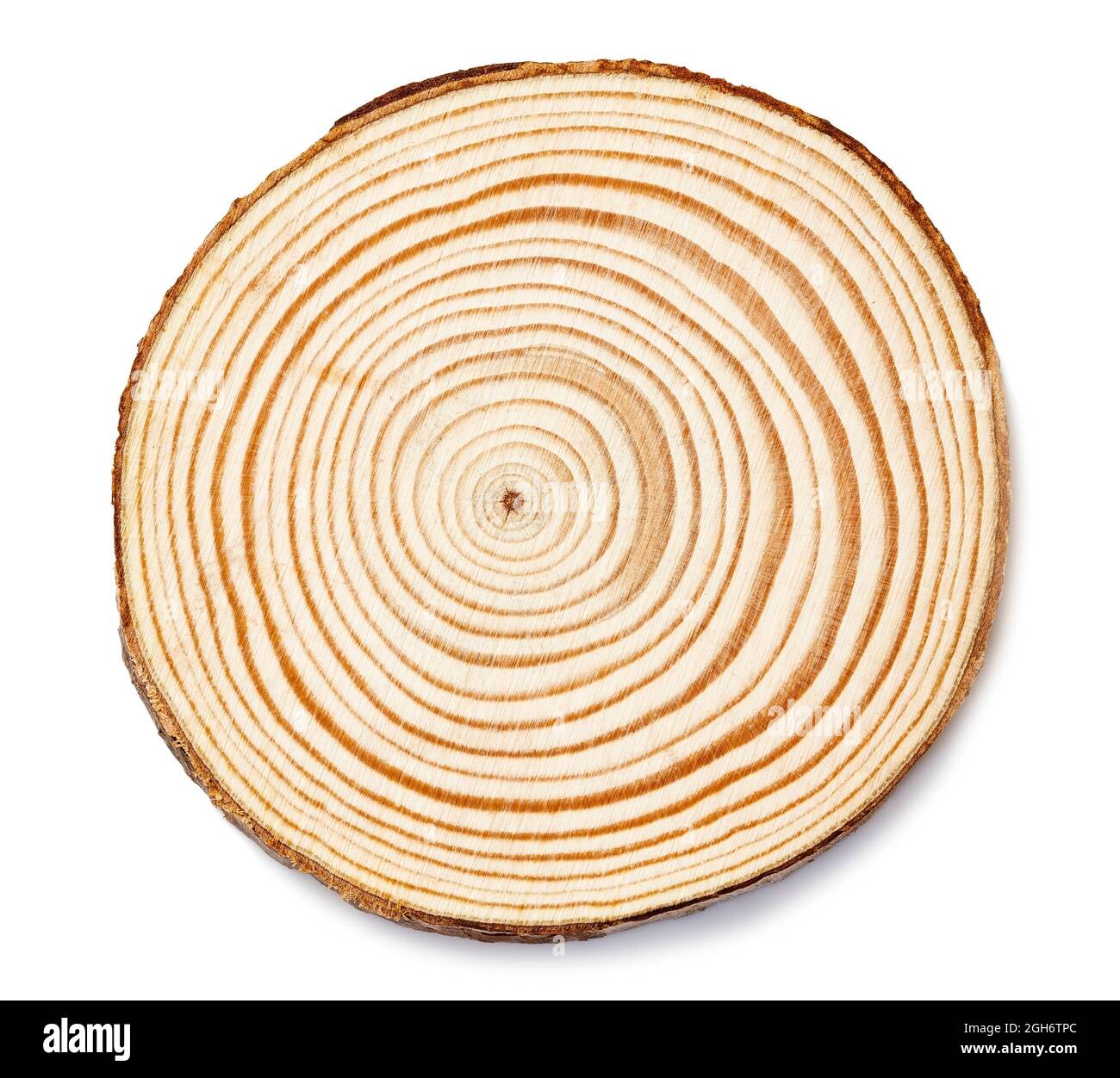 Cercle en bois isolé sur fond blanc Banque D'Images