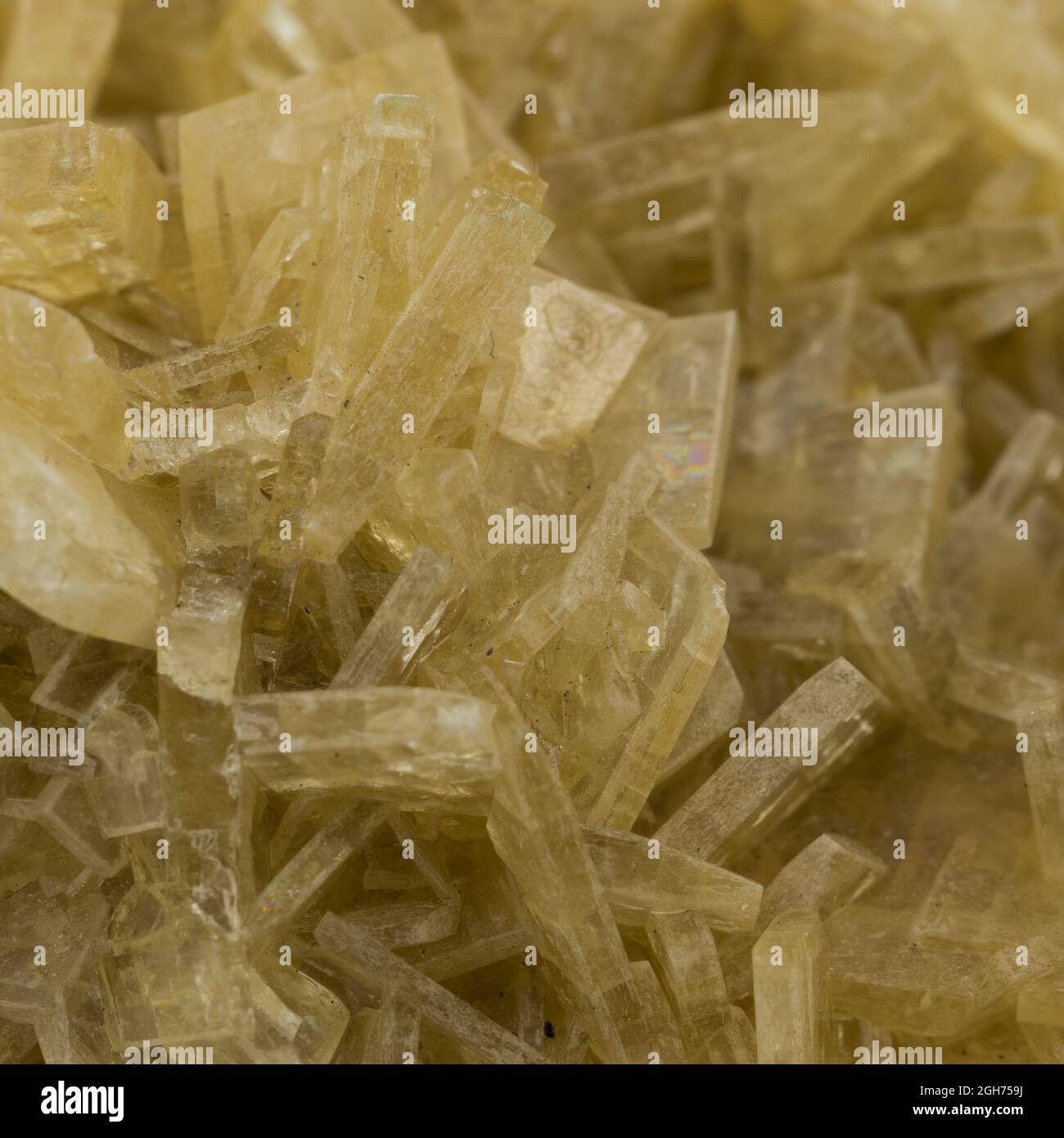 Macrocristaux de baryte de pierre minérale, barite sur fond blanc gros plan Banque D'Images