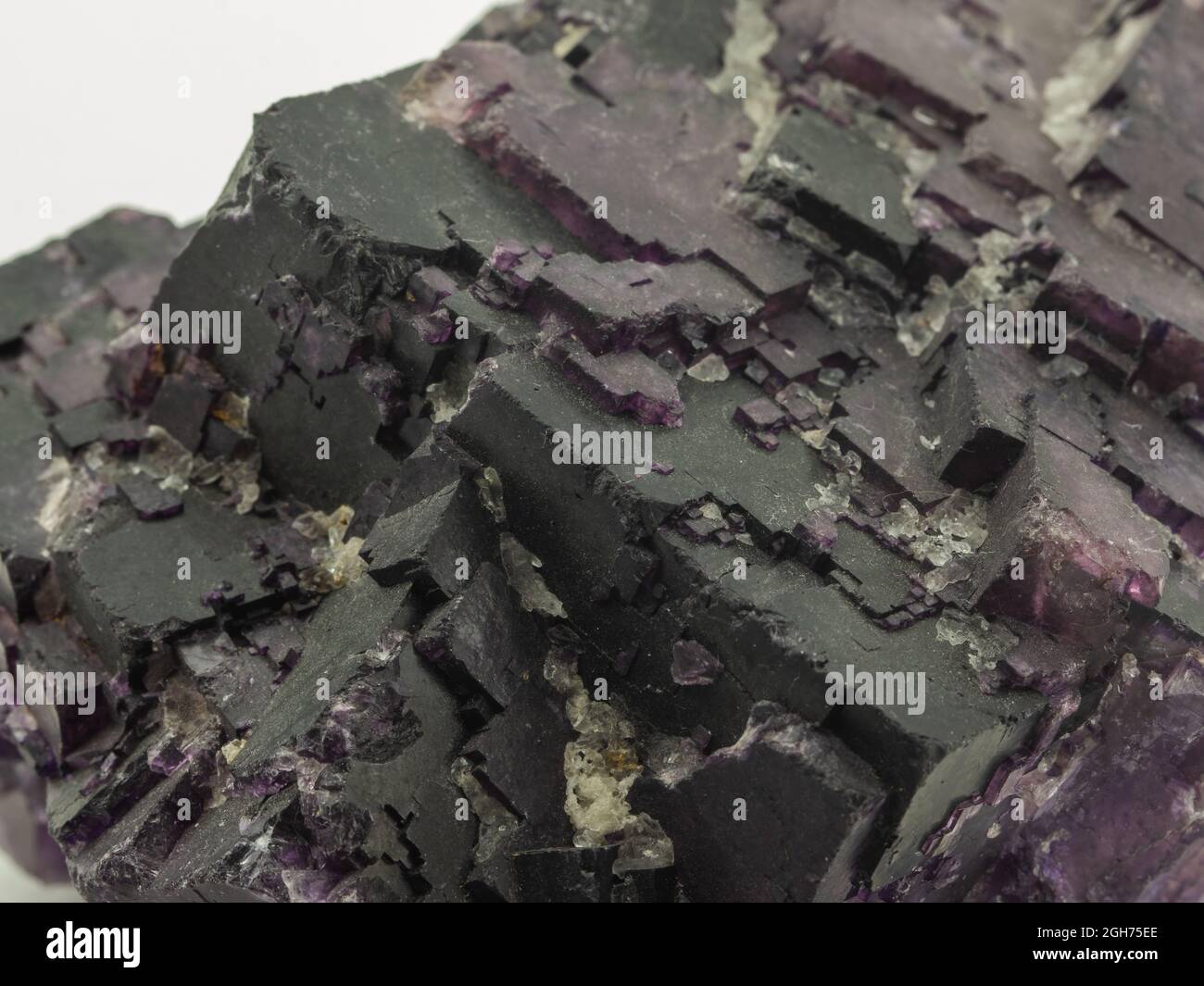 cristaux cubes violets d'un échantillon de minerai de fluorite Banque D'Images