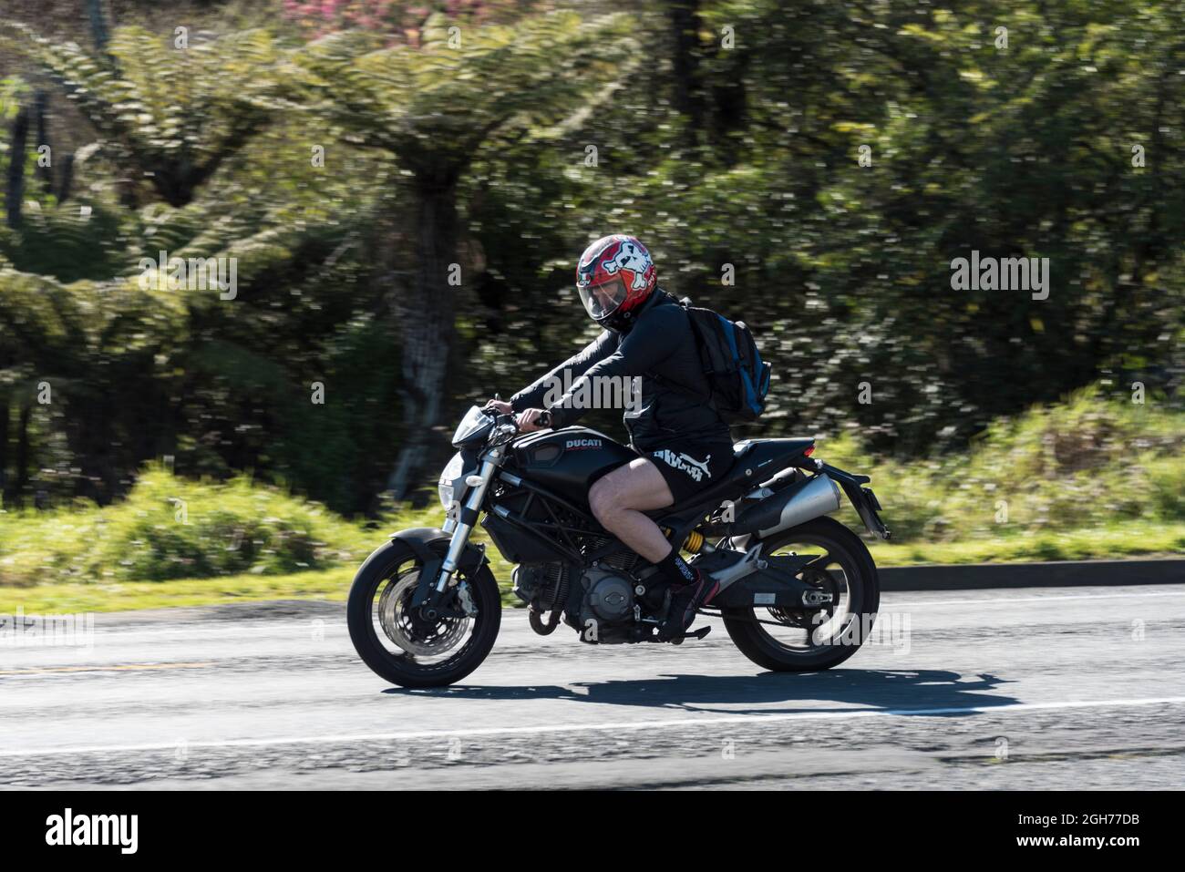 Biker à cheval sur un monstre Ducati à Tauranga, Nouvelle-Zélande. Banque D'Images