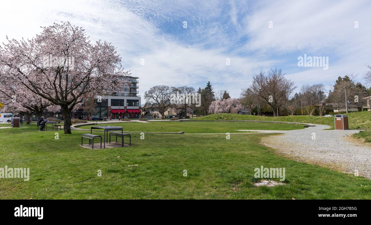 Vancouver, C.-B., Canada - 26 2021 mars : Jim Everett Memorial Park au printemps. Fleur de cerisier en pleine floraison. Banque D'Images