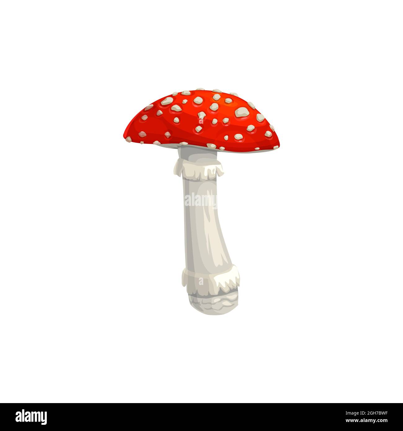 Amanita champignon, automne muscaria mouche icône agarique, vecteur isolé. Amanita champignon à capuchon rouge, vacances de Thanksgiving et récolte d'automne de la forêt Illustration de Vecteur