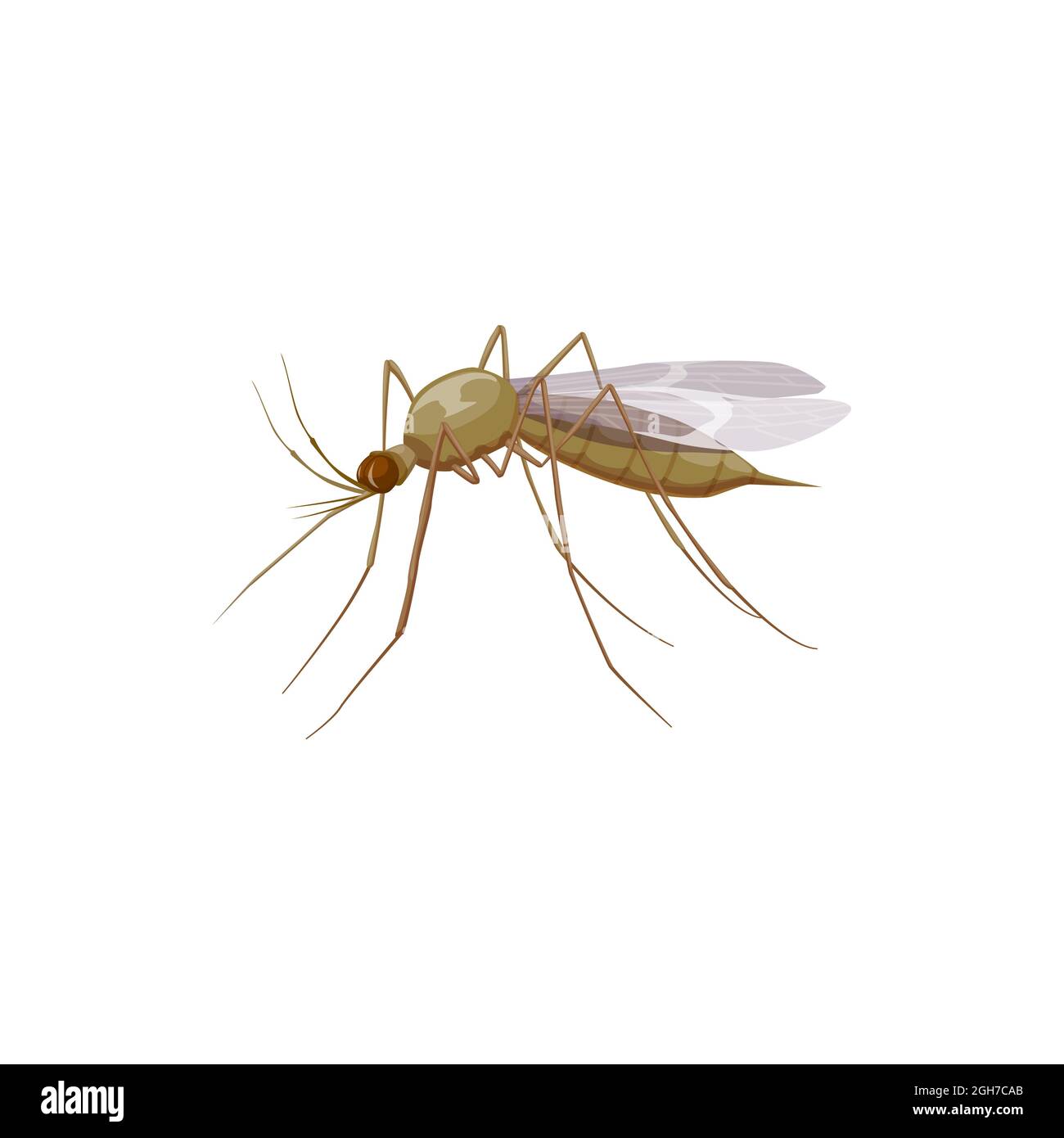 Icône de moustique ou parasite d'insecte, symbole de lutte antiparasitaire  et de dissection sanitaire, vecteur isolé. Le parasite des insectes  moustique, le paludisme et la dengue dis Image Vectorielle Stock - Alamy