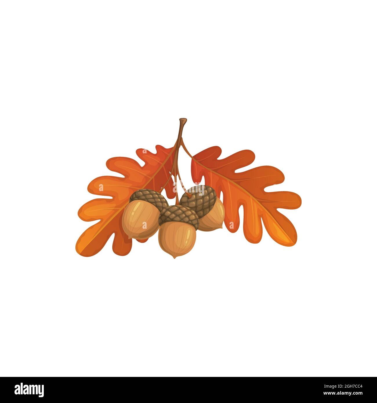 Feuilles de chêne d'automne et icône de vecteur d'corne, feuillage tombé de dessin animé, feuille d'arbre sèche de couleur brune, élément design, objet naturel isolé sur le dos blanc Illustration de Vecteur