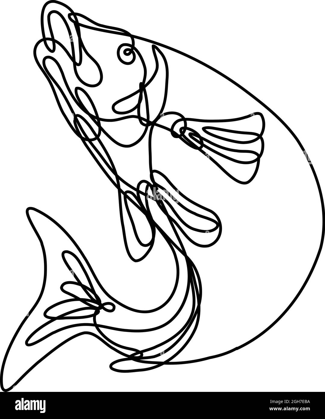 Dessin en ligne continue illustration d'un touladi sautant en ligne simple ou en forme de coolé en noir et blanc sur fond isolé. Illustration de Vecteur