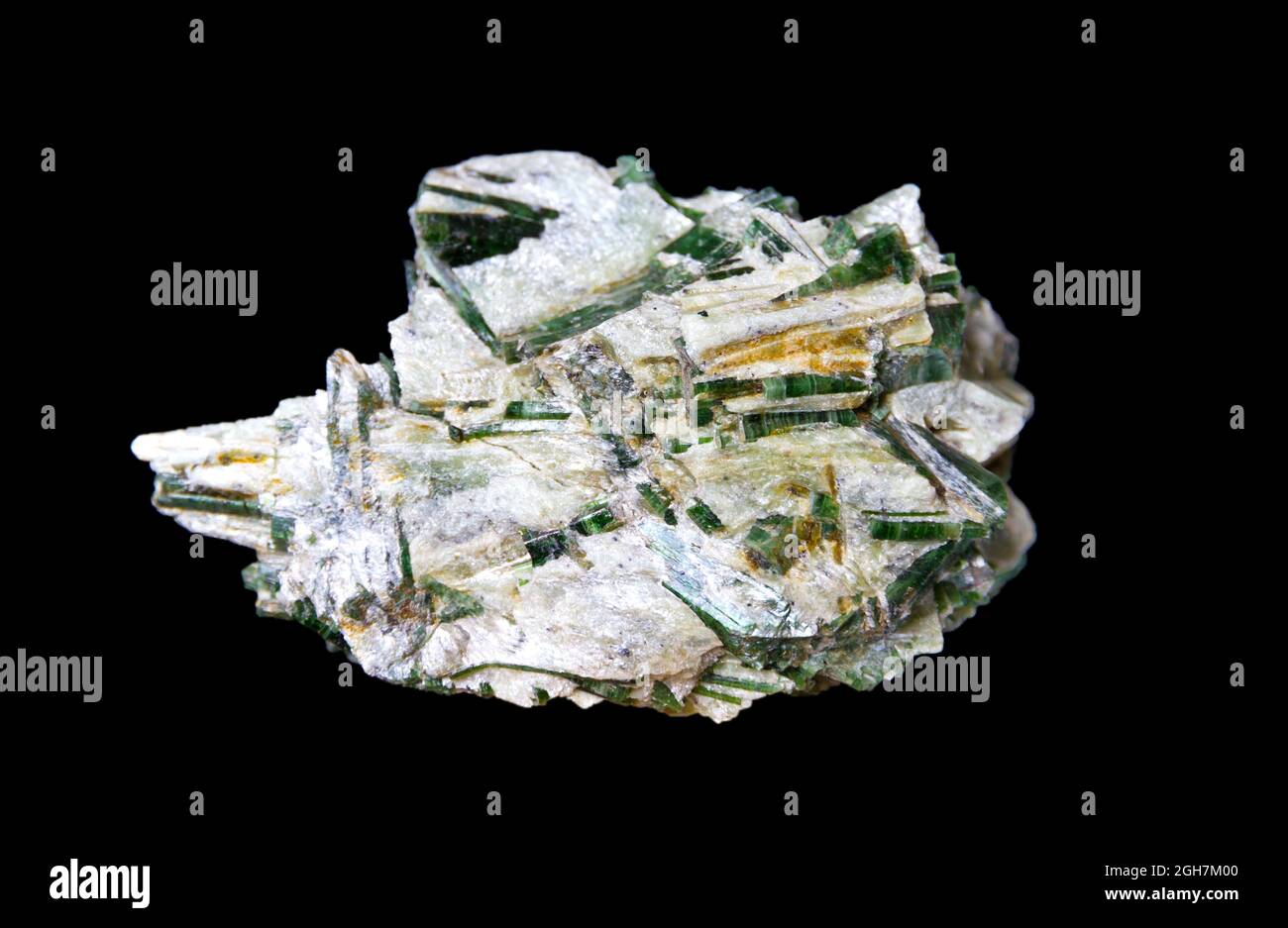 Actinolite dans la pierre précieuse du talc isolée sur fond noir Banque D'Images