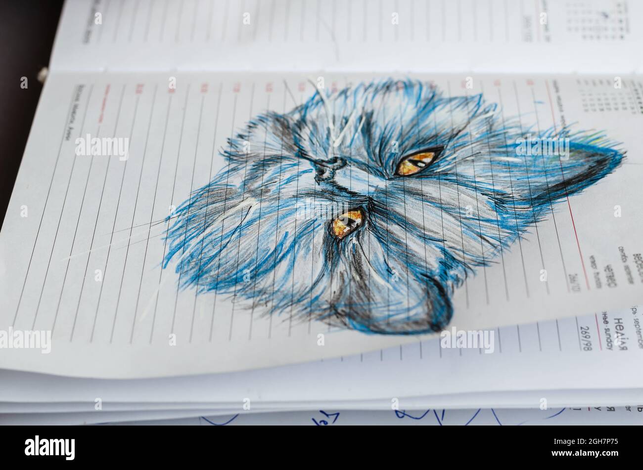 Gros plan dessin au crayon d'un chat sur les pages d'un journal ouvert. Banque D'Images