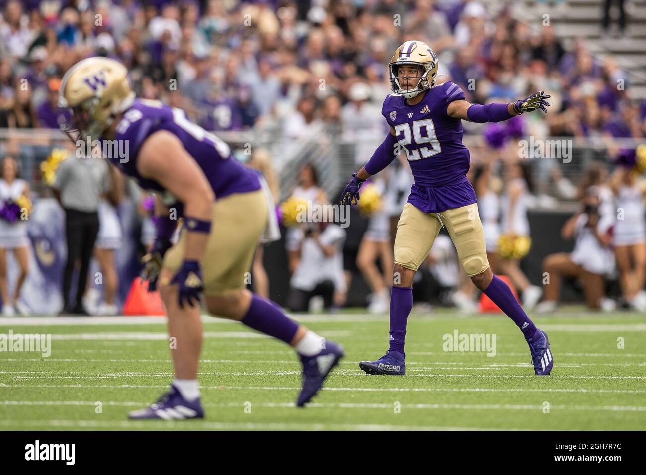 Washington Huskies défensive dos Julius Irvin (29) regardant le quarterback pendant le premier quart d'un match de football universitaire NCAA, samedi sept Banque D'Images