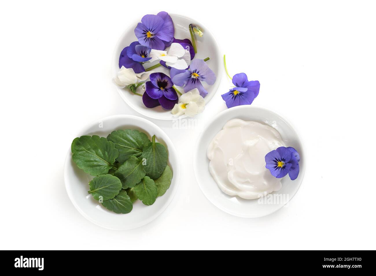 Petits bols avec des fleurs violettes ou violettes, des feuilles et des produits cosmétiques naturels onguent isolés avec des ombres sur un fond blanc, espace de copie, haut angle vi Banque D'Images