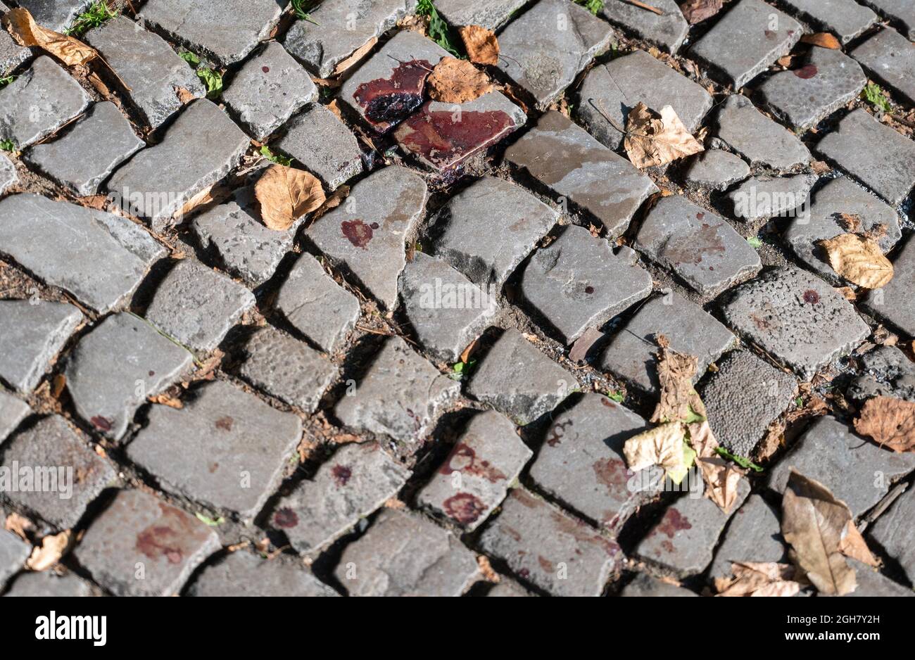 Berlin, Allemagne. 06e septembre 2021. Il y a du sang sur le sol à l'angle de Prinzregenstraße et Güntzelstraße. Un homme aurait mortellement blessé une femme de 58 ans dans un parc berlinois en la poignardant dans le cou. Credit: Christophe bateau/dpa/Alay Live News Banque D'Images