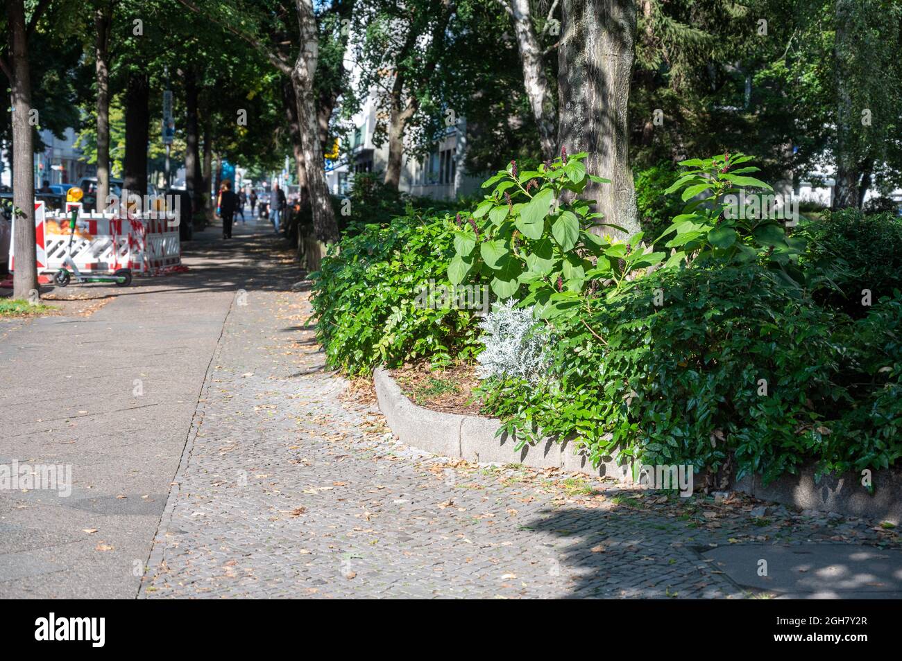 Berlin, Allemagne. 06e septembre 2021. Un homme aurait mortellement blessé une femme de 58 ans en la poignardant dans le cou dans un parc de Berlin, à l'angle de la Prinzregenstrasse et de la Güntzelstrasse. Credit: Christophe bateau/dpa/Alay Live News Banque D'Images
