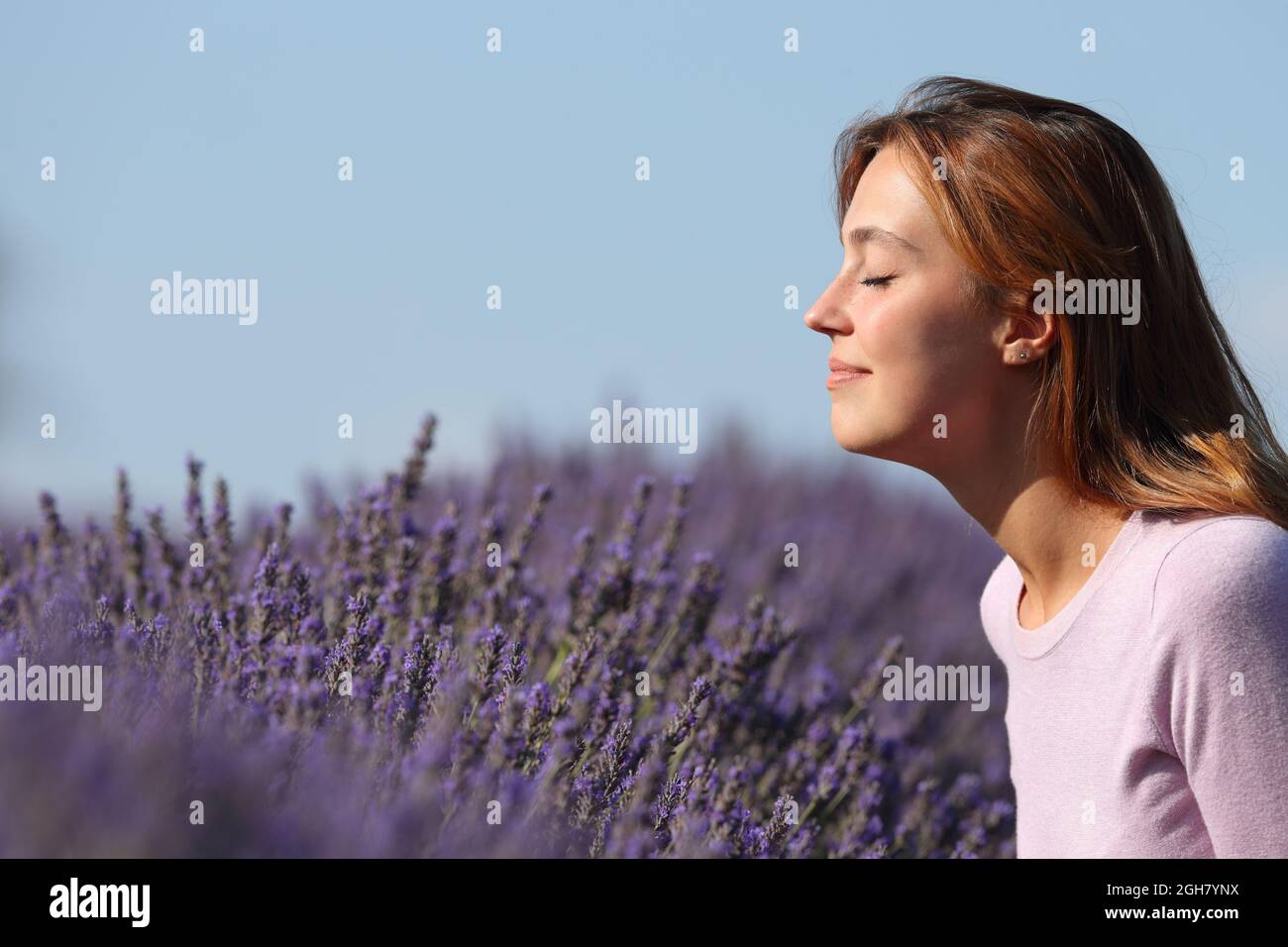 Vue latérale portrait d'une femme qui sent des fleurs de lavande dans un champ Banque D'Images