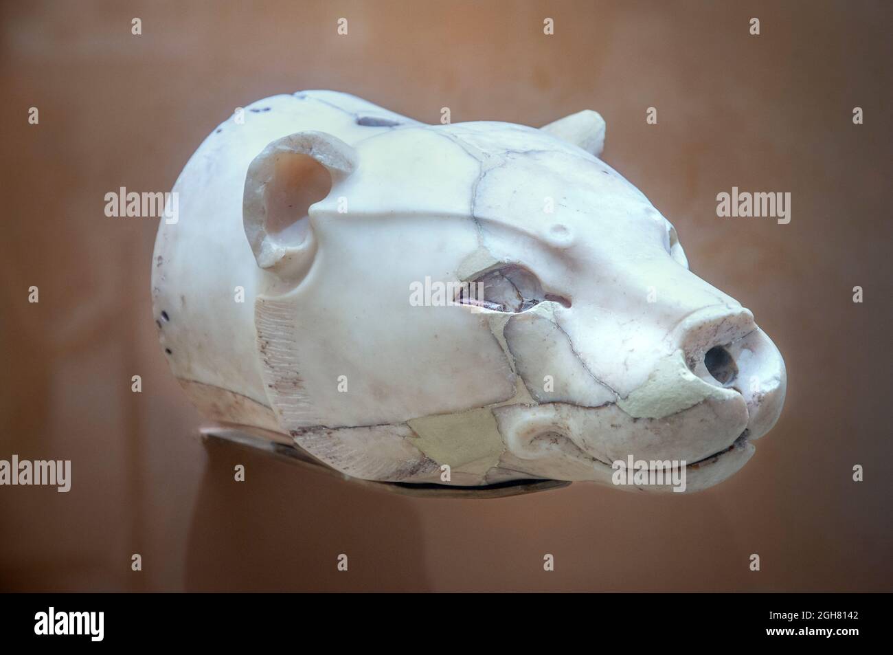 Le vase de libation Minoan, ou Rhyton, a fait du calcaire, en forme de tête d'une lionne avec des yeux ondoyés et du museau (maintenant disparu). De Knossos, nouveau palac Banque D'Images